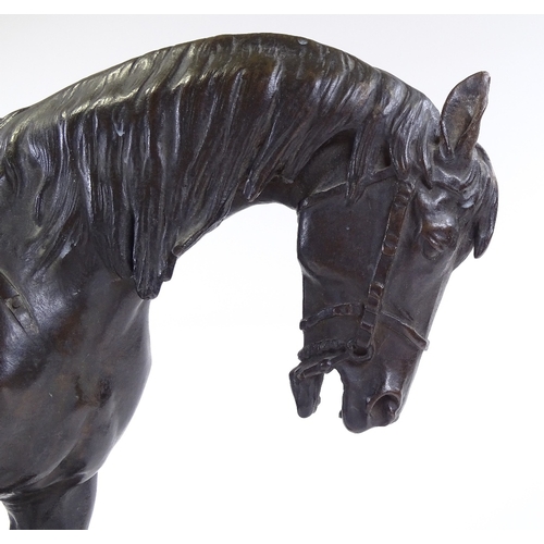 63 - Alexander Phimister Proctor (American 1862 - 1950), bronze sculpture, Arabian stallion, length 45cm,... 