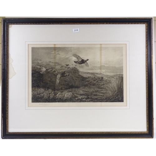 1115 - Archibald Thorburn, engraving, game birds, signed in pencil with blind stamp, image size 13