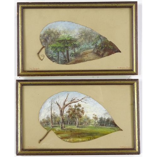 1116 - Attributed to Alfred William Eustace (1820 - 1907), a pair of oil paintings on gum leaves, woodland ... 