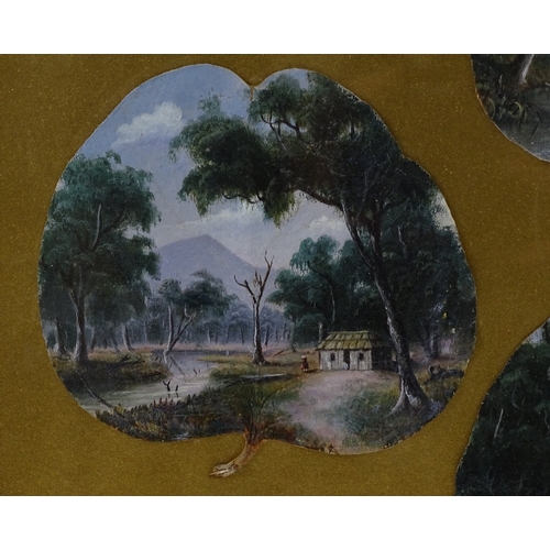 1117 - Attributed to Alfred William Eustace (1820 - 1907), a group of 4 oil paintings on gum leaves, depict... 