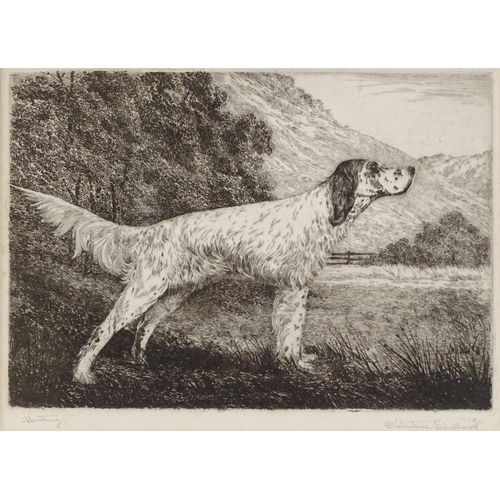 1186 - H Valentine Shellard, etching, study of a Pointer, signed in pencil, plate size 7