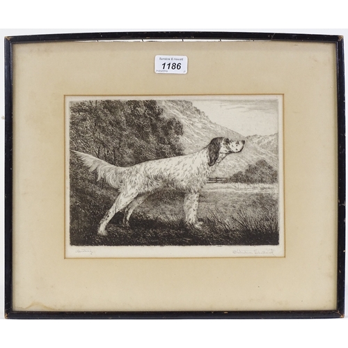 1186 - H Valentine Shellard, etching, study of a Pointer, signed in pencil, plate size 7