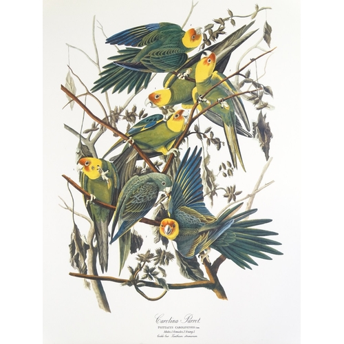 1216 - After John Audubon, full set of 30 prints of American birds, published by Harry Abrams New York 1964... 