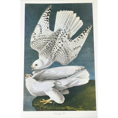 1216 - After John Audubon, full set of 30 prints of American birds, published by Harry Abrams New York 1964... 