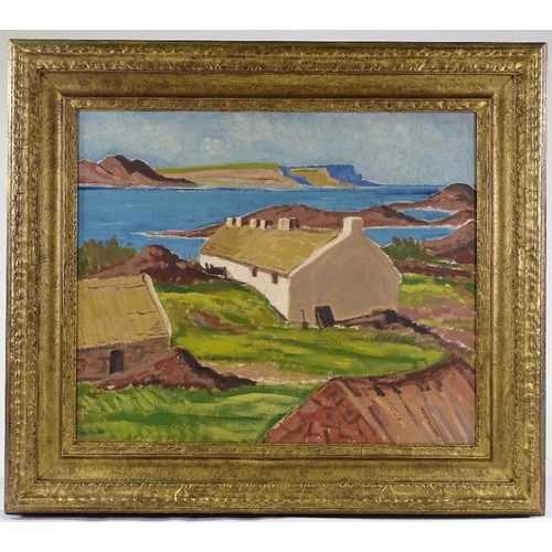 1235 - 20th century Irish School, oil on canvas, coastal cottages, unsigned, 20