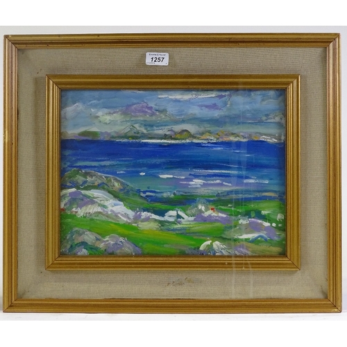 1257 - Late 20th century Scottish School, acrylic on board, a summer's day Iona, unsigned, 11