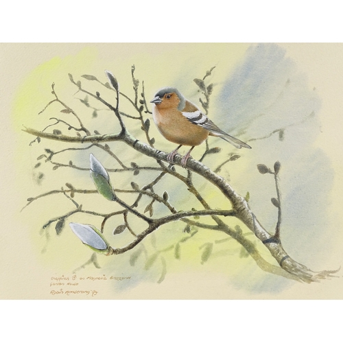 1278 - Robin Armstrong, watercolour, chaffinch on a branch, 10.5