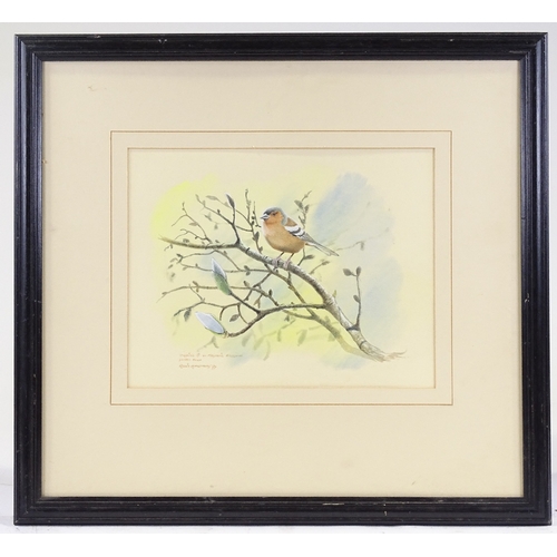 1278 - Robin Armstrong, watercolour, chaffinch on a branch, 10.5