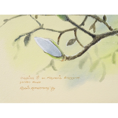 1278 - Robin Armstrong, watercolour, chaffinch on a branch, 10.5