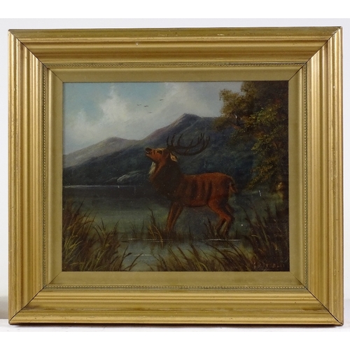 1306 - 19th century painting on glass, stag in the Highlands, unsigned, 10