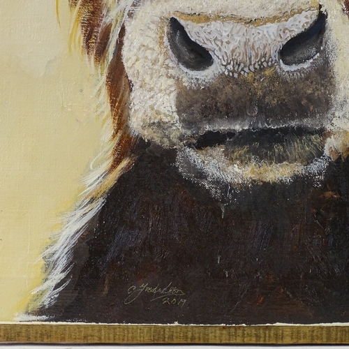 1392 - Clive Fredriksson, oil on canvas, Highland cow, 39