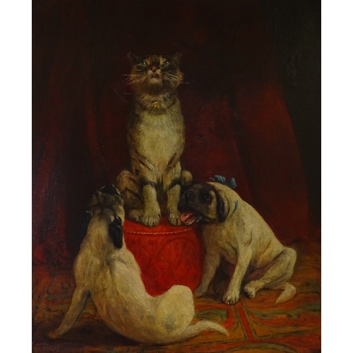 1413 - Frederick Thomas Daws (1878 - c. 1956), oil on canvas, 2 Pug dogs and a cat 