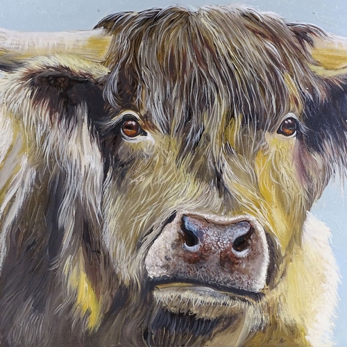 1364 - Clive Fredriksson, oil on canvas, Highland cow, 28