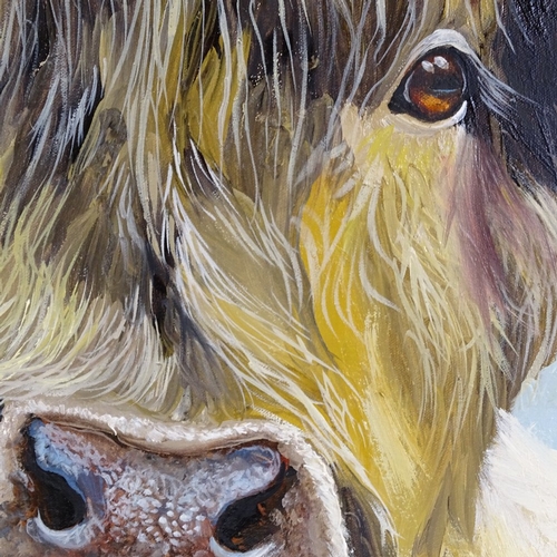 1364 - Clive Fredriksson, oil on canvas, Highland cow, 28