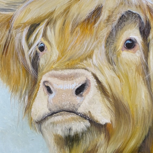 1365 - Clive Fredriksson, oil on canvas, Highland cow, 36