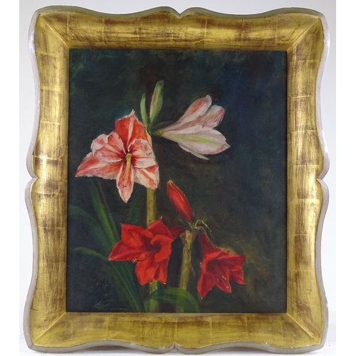 1399 - Francis Evelyn North, oil on canvas, amaryllis, signed with monogram, 24