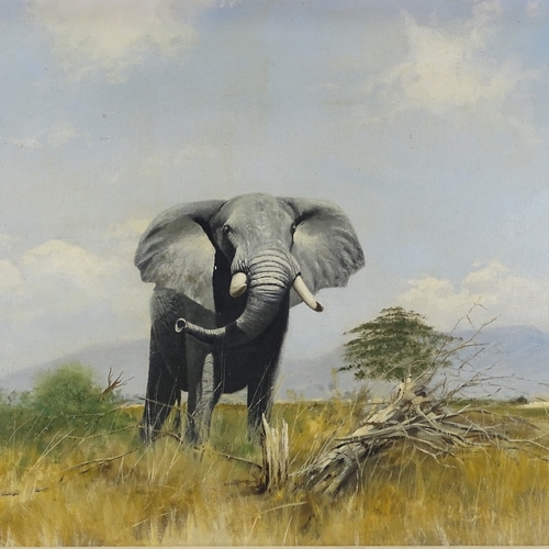 1409 - Oil on canvas laid on board, bull elephant in landscape, unsigned, 22