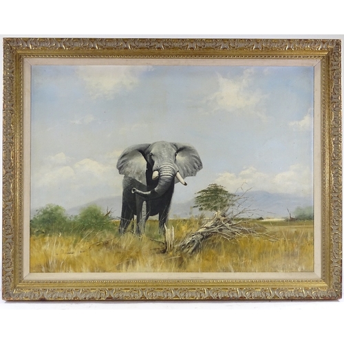 1409 - Oil on canvas laid on board, bull elephant in landscape, unsigned, 22