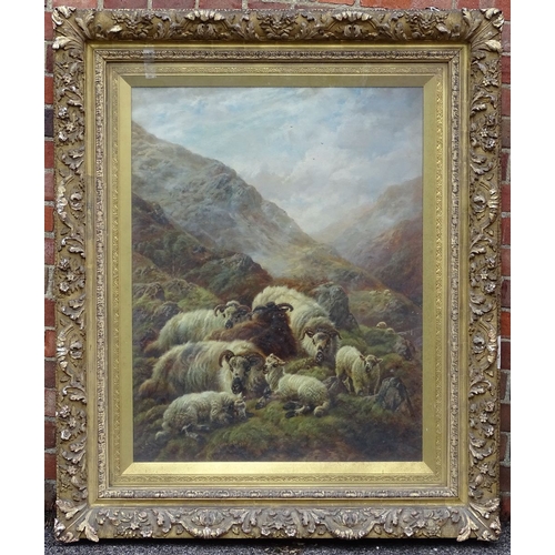 1029 - R Watson, oil on canvas, flock of sheep sheltering on a mountain, signed and dated 1906, 36