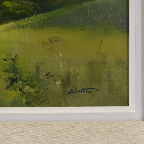 1063 - Frank Wootton, oil on canvas, Chanctonbury Ring, signed, 16