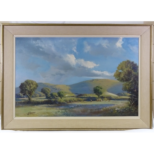 1064 - Norman Dinnage, oil on canvas, the South Downs, signed, 22