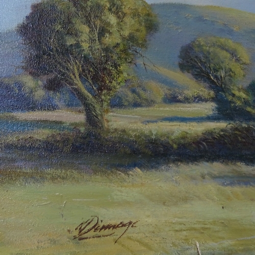 1064 - Norman Dinnage, oil on canvas, the South Downs, signed, 22