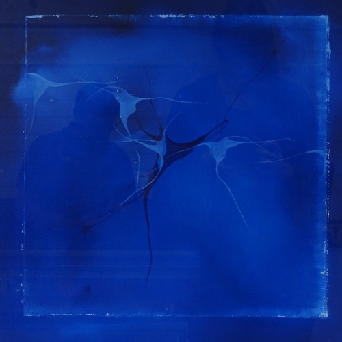 1097 - Pam Winbolt, oil on canvas, blue abstract, 24