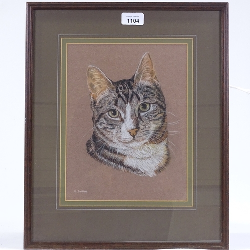 1104 - V Collins, coloured pastels, study of a cat, signed, 11