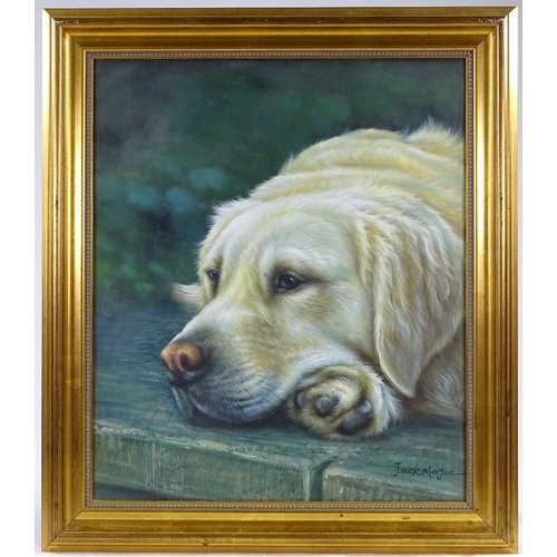 1140 - Jack Morgan, oil on canvas, Golden Retriever, signed, 24