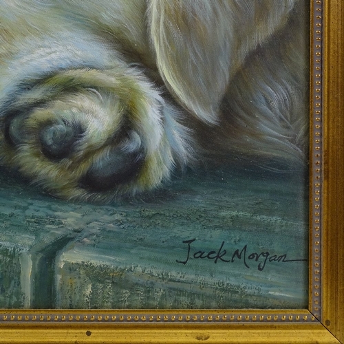 1140 - Jack Morgan, oil on canvas, Golden Retriever, signed, 24