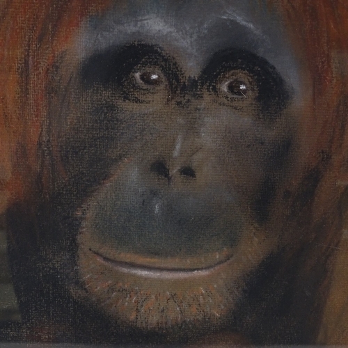 1155 - D Hardie, coloured pastels, monkeys, 15