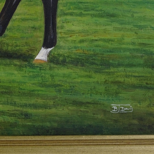 1222 - B Davis, oil on canvas, Lester Piggott on Nijinsky, signed, 20