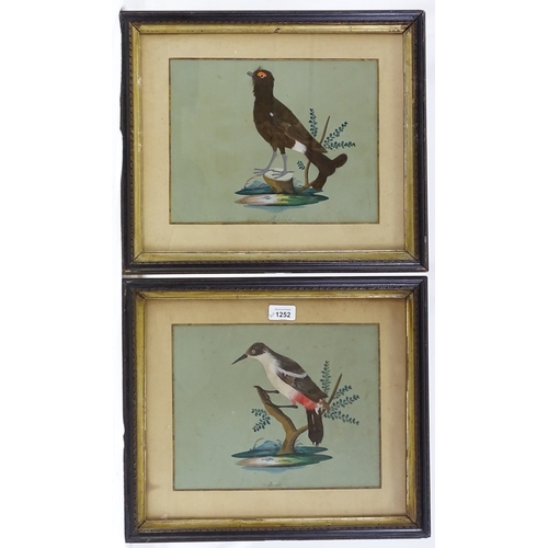 1252 - A pair of 19th century watercolours with applied bird's feathers, studies of exotic birds, 9.5