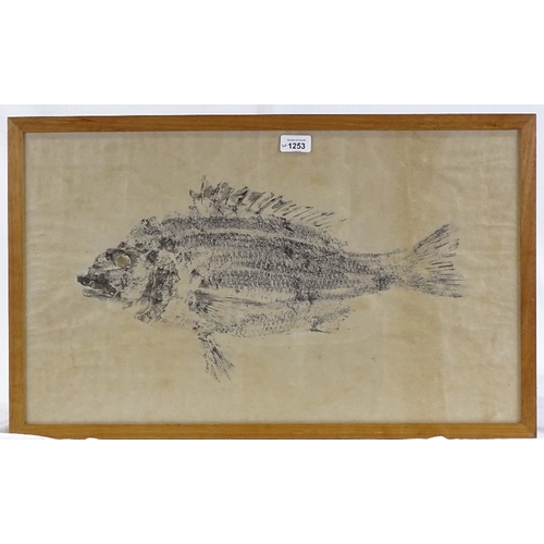 1253 - Mid-20th century Japanese School, pair of monoprints of fish, largest 16