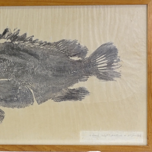 1253 - Mid-20th century Japanese School, pair of monoprints of fish, largest 16