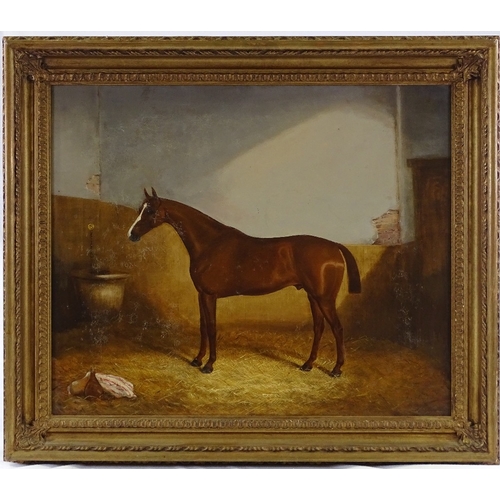 1280 - James Clark, oil on canvas, bay mare in the stable, signed, 20