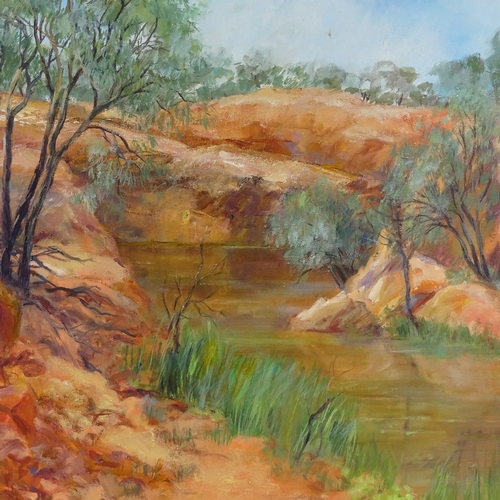 1327 - Denise Shaw, oil on canvas, waterhole Mount Margaret Queensland, 24