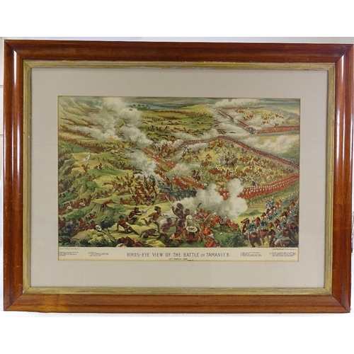 1328 - 19th century colour print, bird's eye view of the Battle of Tamanieb, 1884, image 16