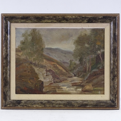 1368 - Early 20th century, oil on board, Scottish landscape, unsigned, 12