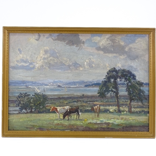 1309 - Attributed to Mark Fisher, oil on board, cattle in a landscape, unsigned, 13.5