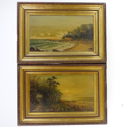 1337 - Williams, pair of 19th century oils on board, coastal scenes, signed, 9