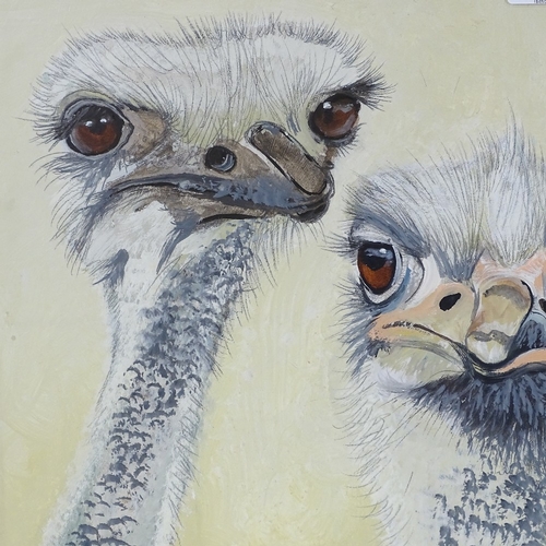 1348 - Clive Fredriksson, oil on board, ostriches, 14