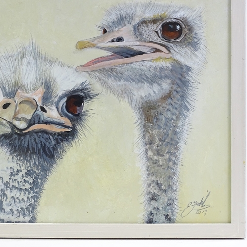 1348 - Clive Fredriksson, oil on board, ostriches, 14