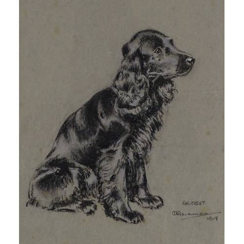 1357 - Charcoal and chalk, portrait of Springer Spaniel, indistinctly signed dated 1948, 12