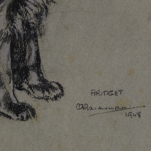 1357 - Charcoal and chalk, portrait of Springer Spaniel, indistinctly signed dated 1948, 12