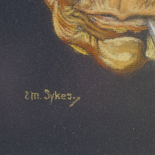 1359 - E M Sykes, coloured pastels, Native Canadian, signed, 16