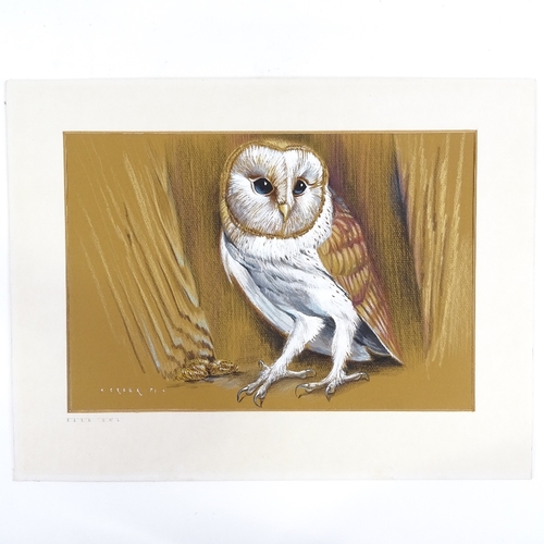 1365 - John Crank (193 - 2008), pair of watercolours on brown paper, barn owl and magpies, 1971, 9.5