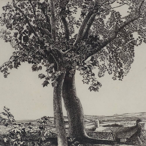 1385 - Eleanor Hughes, engraving, tree, signed in pencil, plate size 10