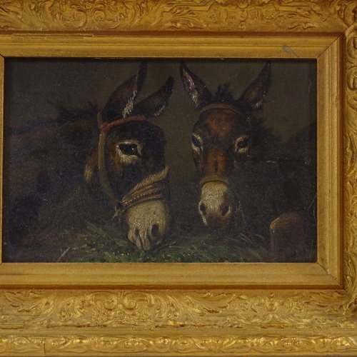 1399 - 19th century oil on board, 2 donkeys, unsigned, 6