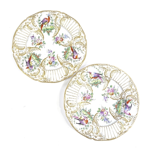 196 - A pair of 19th Continental porcelain plates, with relief-moulded hand painted and gilded exotic bird... 